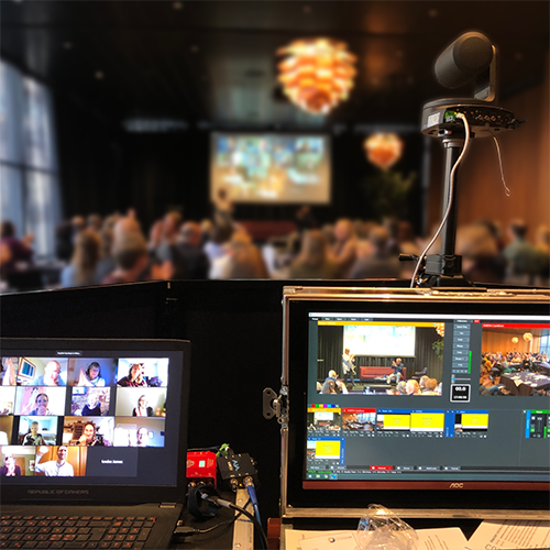 livestreaming landsmøder